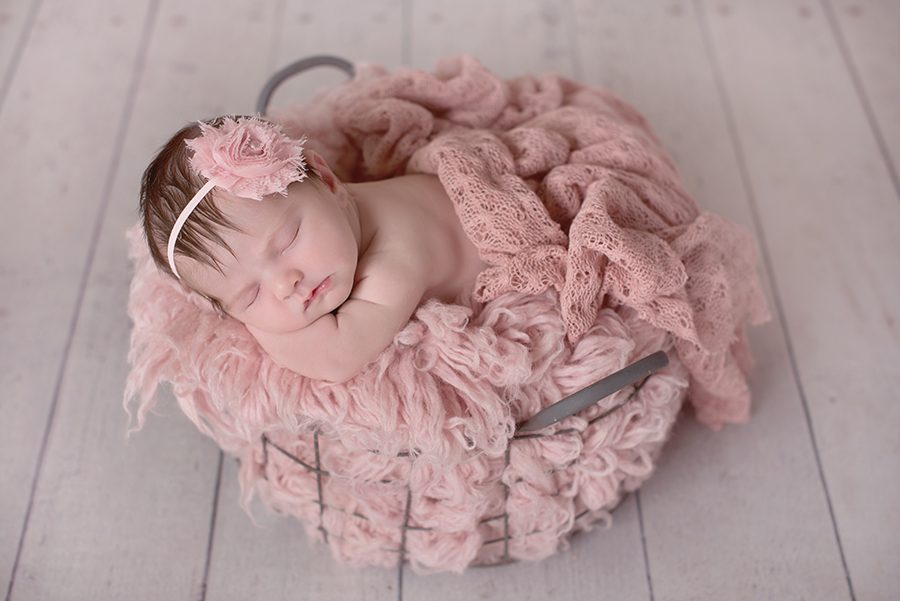 Eloise 1