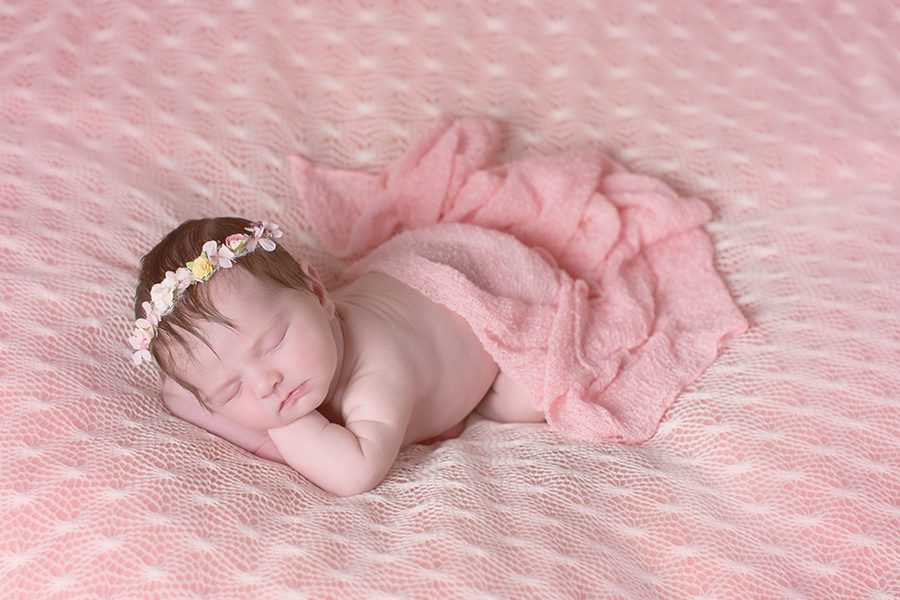 Eloise 3