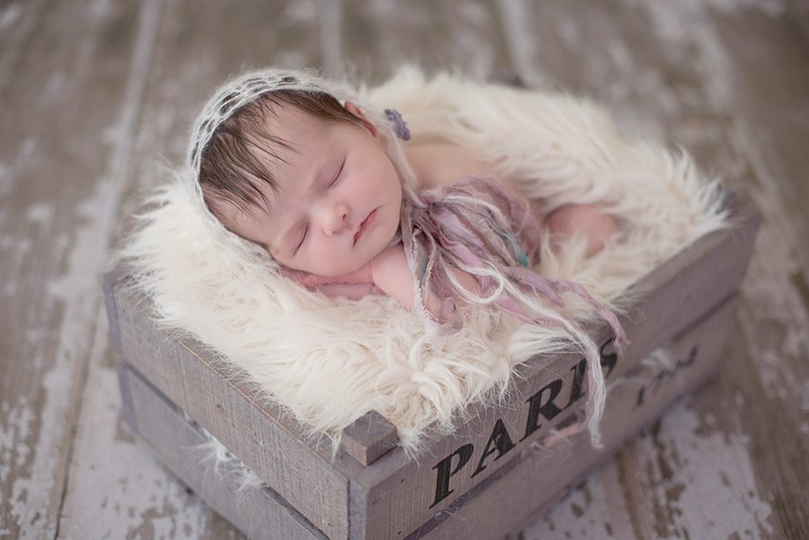 Eloise 4