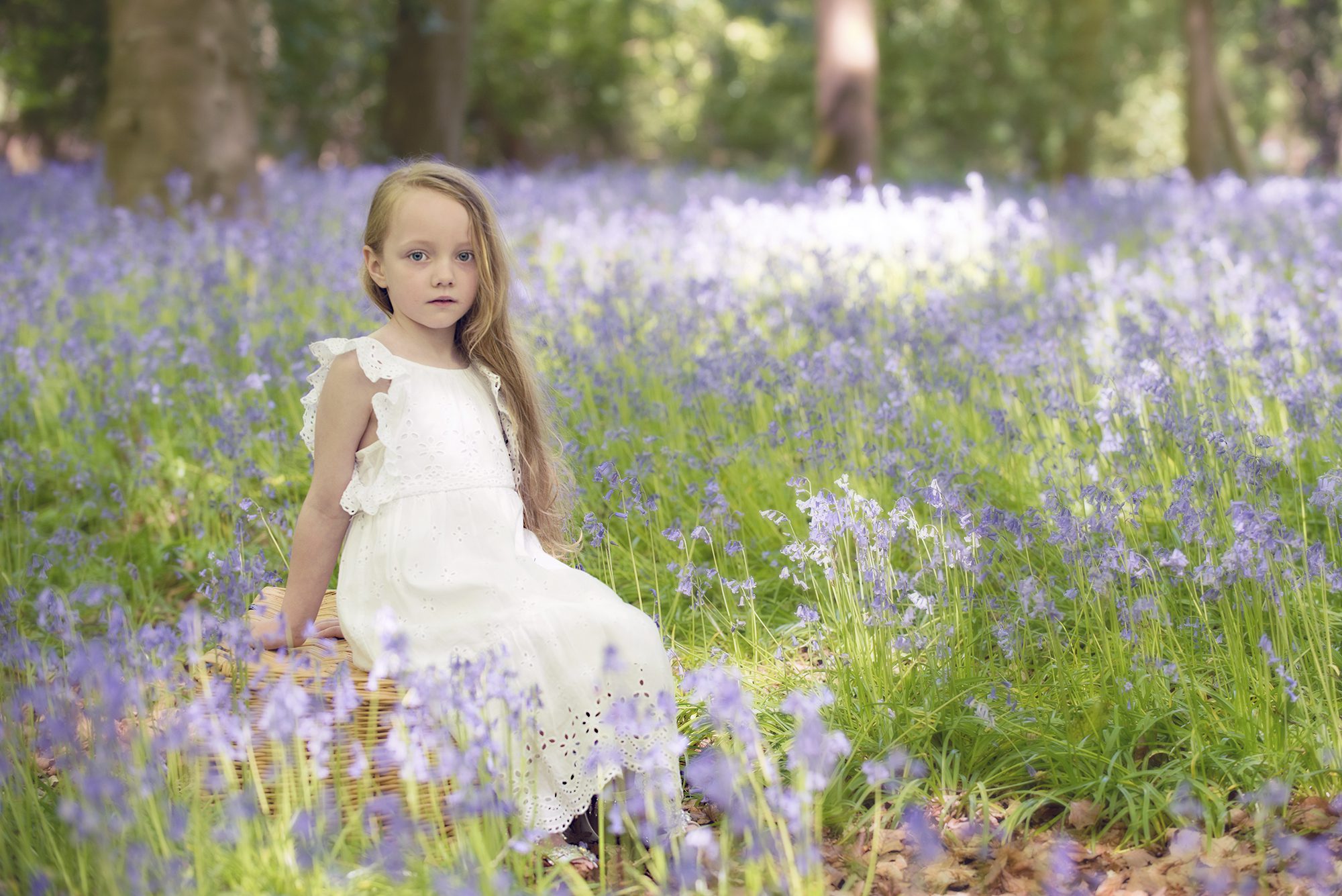 child sitting in bluebells wearing white dress for photoshoot, Berkshir