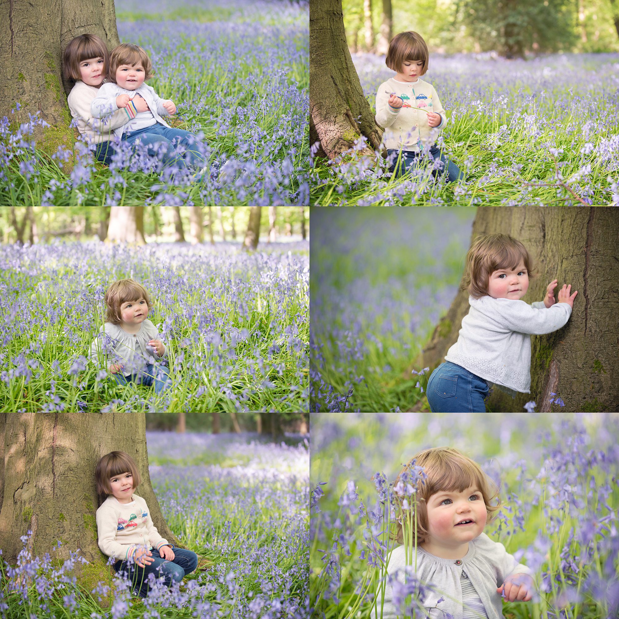 child photography session in the bluebells by family photographer Twyford, Wokingham
