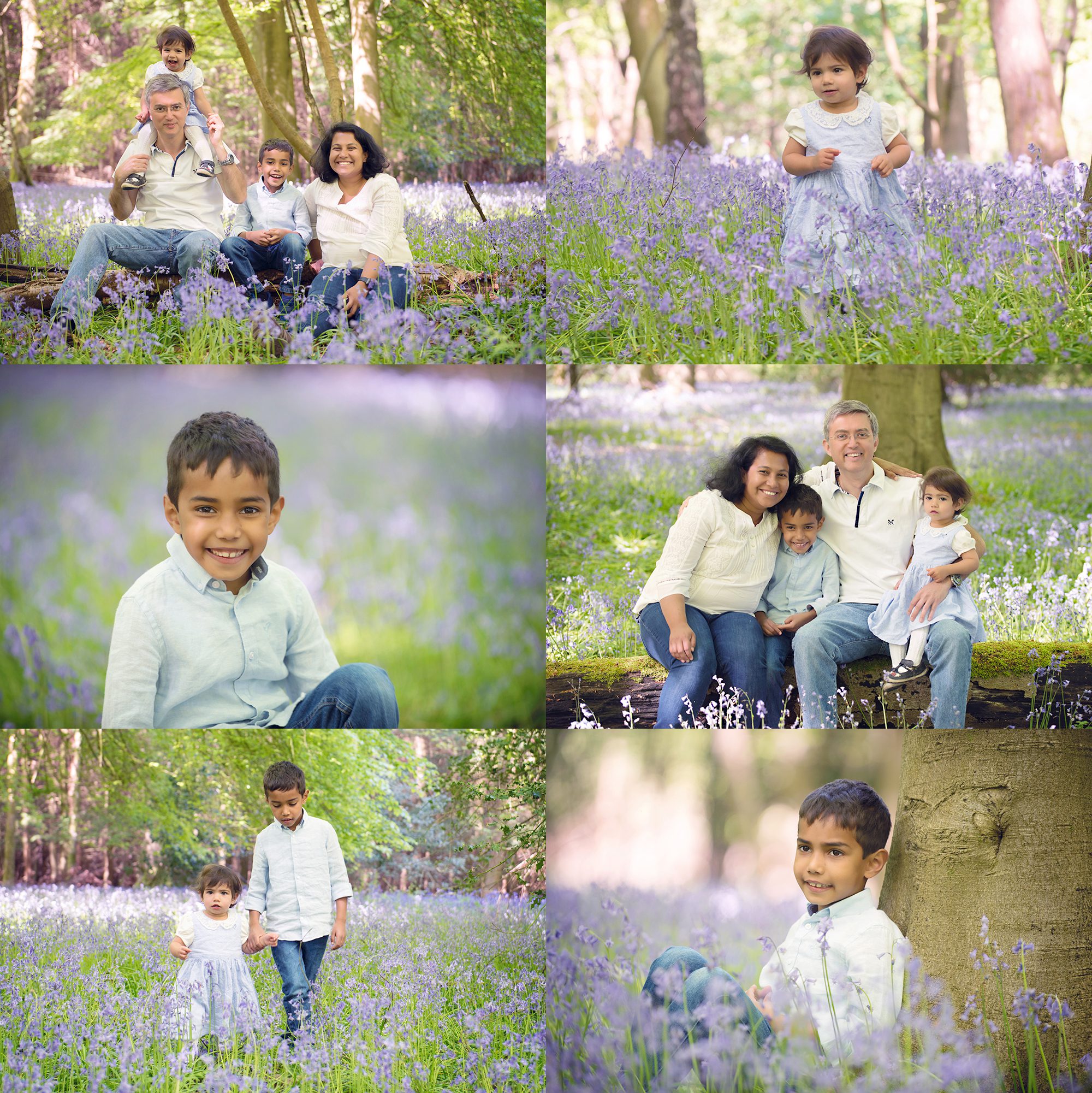 family photographs in bluebell woods by family photographer Reading Berkshire