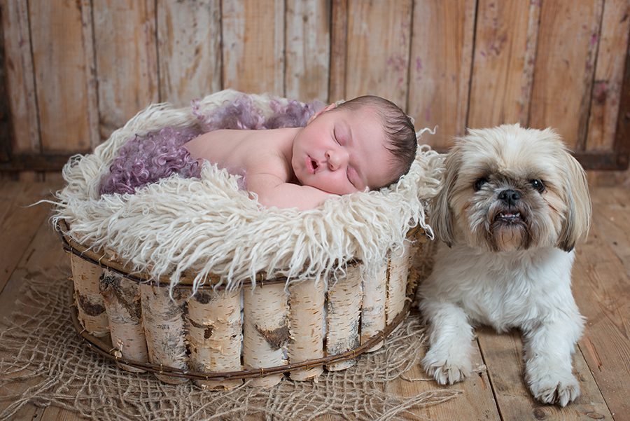 sleeping newborn baby with dog for photography session in Reading, Berkshire